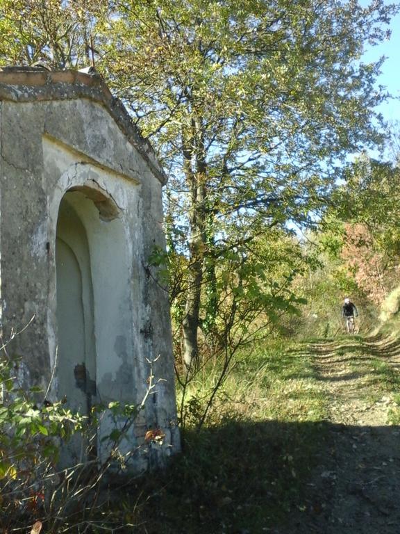 Villa Agriturismo Monte Genesio Medesano Exterior foto
